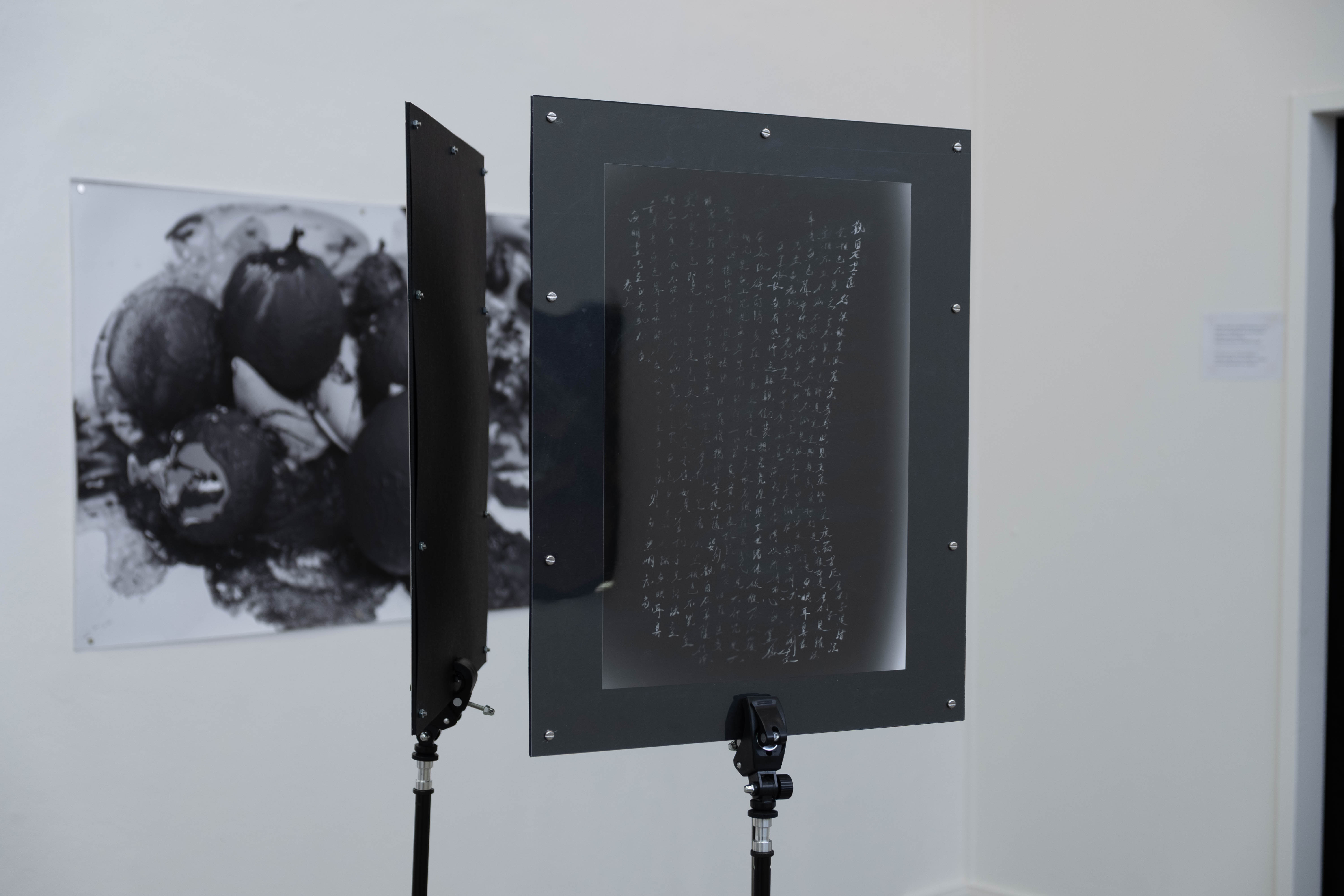 the phases of my moon installation view 03 lead image by Khingwei Bai